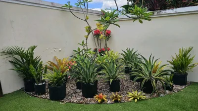 VENTA CASA MODERNA REMODELADA EN COSTA SUR (CP) — imagen 6 de 10
