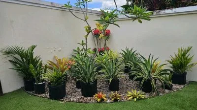 VENTA CASA MODERNA EN COSTA SUR (CP) — imagen 6 de 10