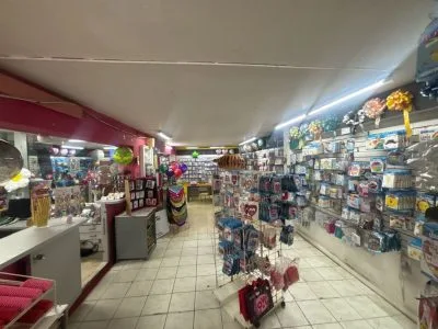 ALQUILER LOCAL BELLA VISTA [DV] — imagen 7 de 10