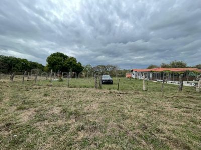 Terreno de 5 hectáreas (50,000 mts) en el Pedregosito — imagen 2 de 6