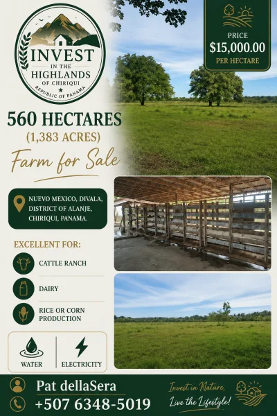 Farm for sale in Nuevo Mexico, Divala, district of Alanje, Chiriqui, Panama. — imagen 2 de 2