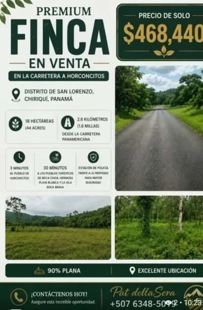 Premium Farm for sale in Horconcitos, Chiriqui, Panama. — imagen 2 de 2