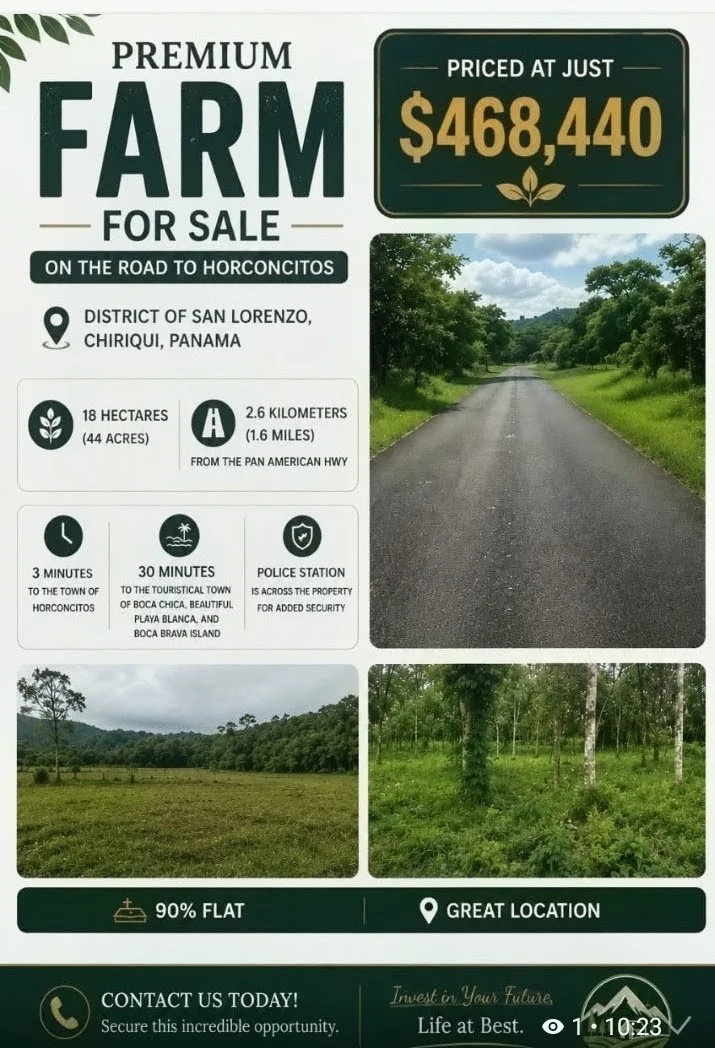 Premium Farm for sale in Horconcitos, Chiriqui, Panama. — imagen 1 de 2