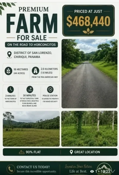 Premium Farm for sale in Horconcitos, Chiriqui, Panama.