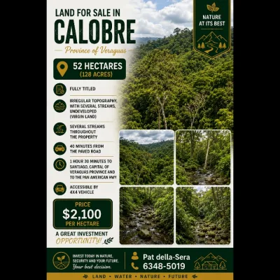 Land for sale in Calobre, province of Veraguas. — imagen 2 de 2