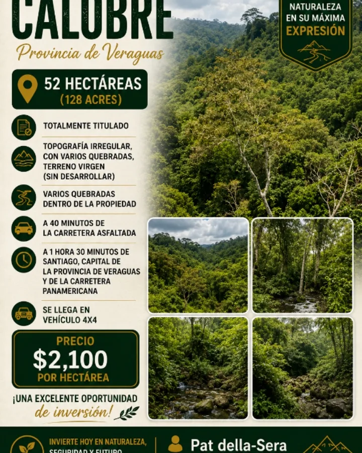 Land for sale in Calobre, province of Veraguas. — imagen 1 de 2