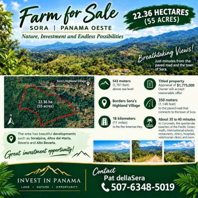 Finca en Venta, Sora, Panama Oeste. — imagen 2 de 2
