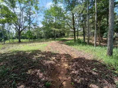 VENTA TERRENO COLÓN A PIE DE CARRETERA (EC) — imagen 10 de 10