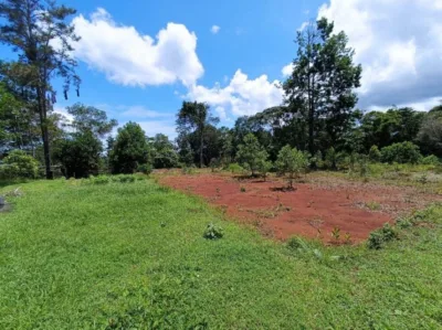 VENTA TERRENO COLÓN A PIE DE CARRETERA (EC) — imagen 1 de 10