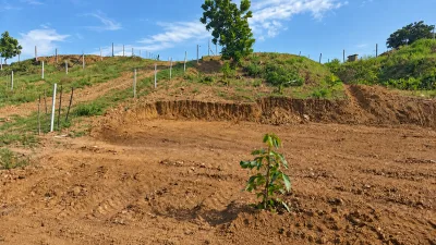 TERRENO TITULADO EN VENTA — imagen 8 de 10