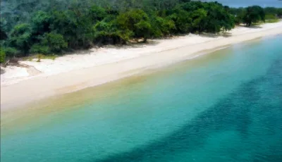 53.24 hectares(131 acres) located in Isla del Rey. — imagen 3 de 5