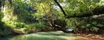 53.24 hectares(131 acres) located in Isla del Rey. — imagen 4 de 5