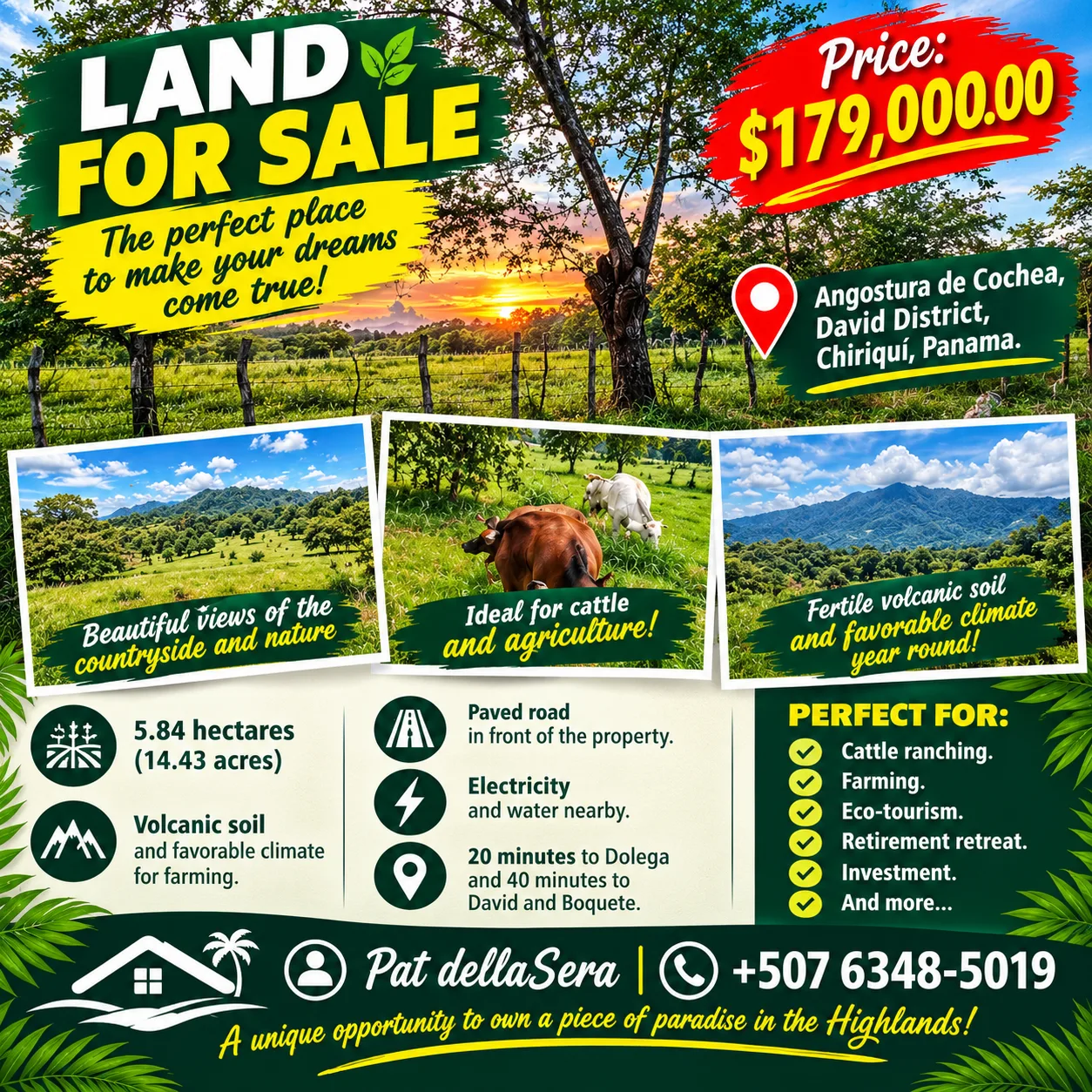 Farm for sale in Angostura de Cochea, David, Chiriqui — imagen 1 de 3