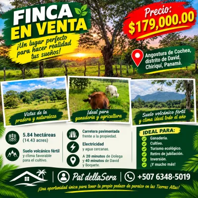 Farm for sale in Angostura de Cochea, David, Chiriqui — imagen 2 de 3