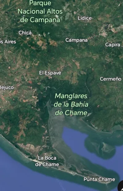 FINCA EN VENTA  EN SAJALICES DE CHAME — imagen 2 de 6