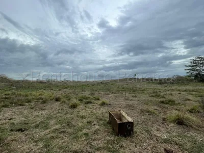 Venta de Terreno en El Barrero Ph KF — imagen 9 de 10