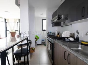 Alquiler de Apartamento en Bellavista — imagen 2 de 4